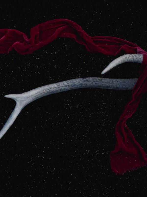 Trezor Safe 5- Features & Review