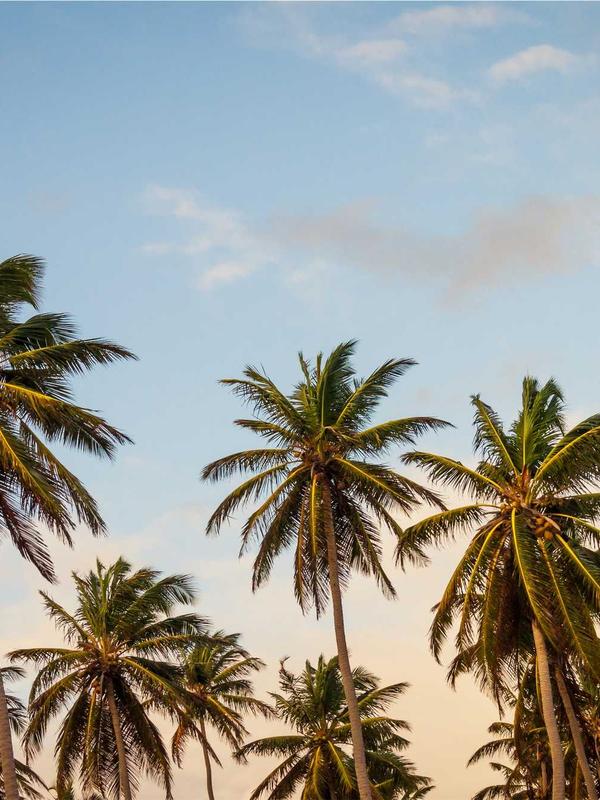 OneKey Classic - Review & Setup